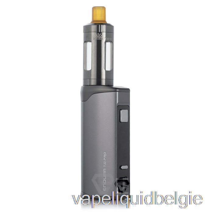 Vape Vloeistof Innokin Endura T22 Pro Kit Staalgrijs